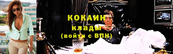 тгк Богородицк