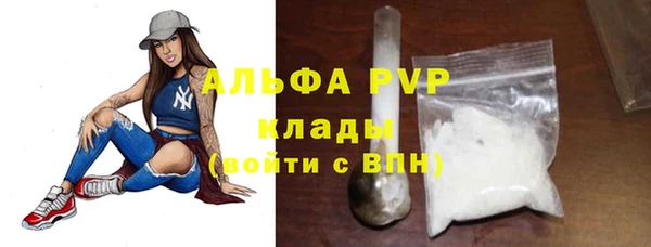 тгк Богородицк