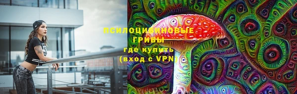 тгк Богородицк